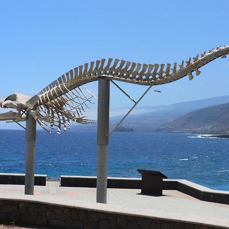 Casa"La Gomera" Los Silos Eksteriør bilde