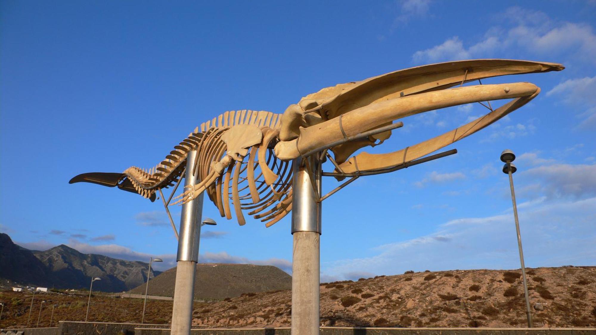 Casa"La Gomera" Los Silos Eksteriør bilde