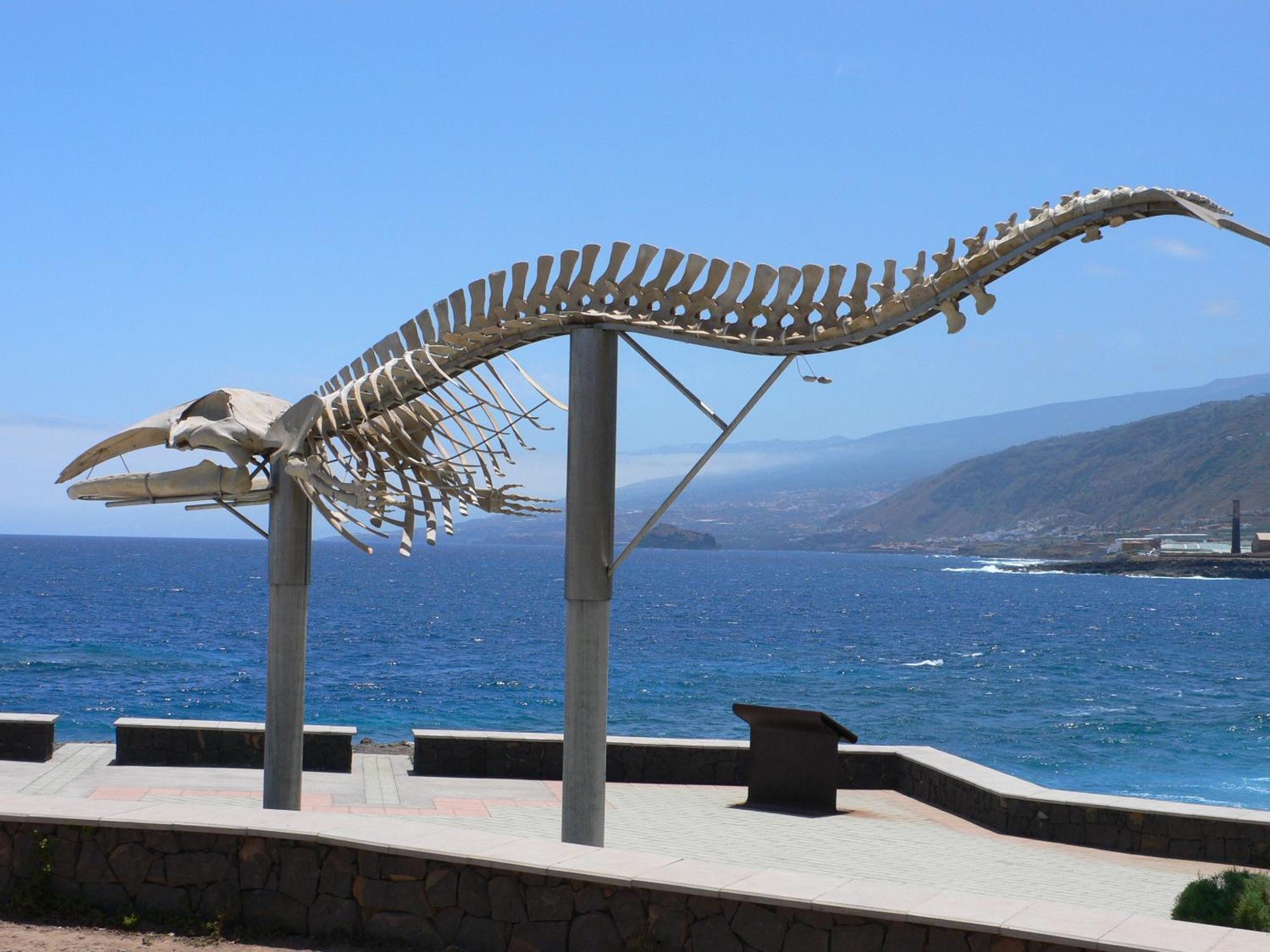 Casa"La Gomera" Los Silos Eksteriør bilde